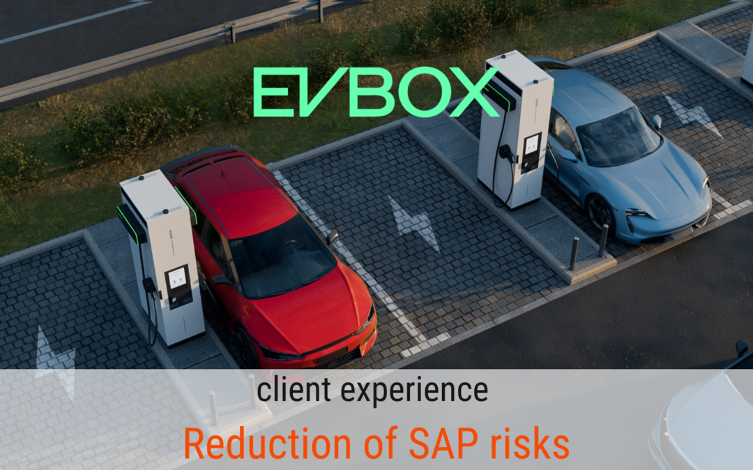 EVBox – 90 % risk reduction of SAP risks via cleaning and authorisation redesign