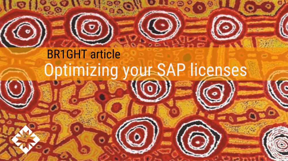 Navigating SAP’s new licensing landscape: How to optimize costs and maximise value