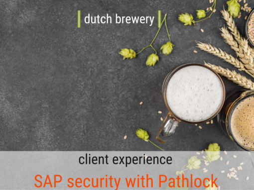 Enhancing SAP security and cross system SoD monitoring in a hybrid cloud environment (non-SAP) with Pathlock