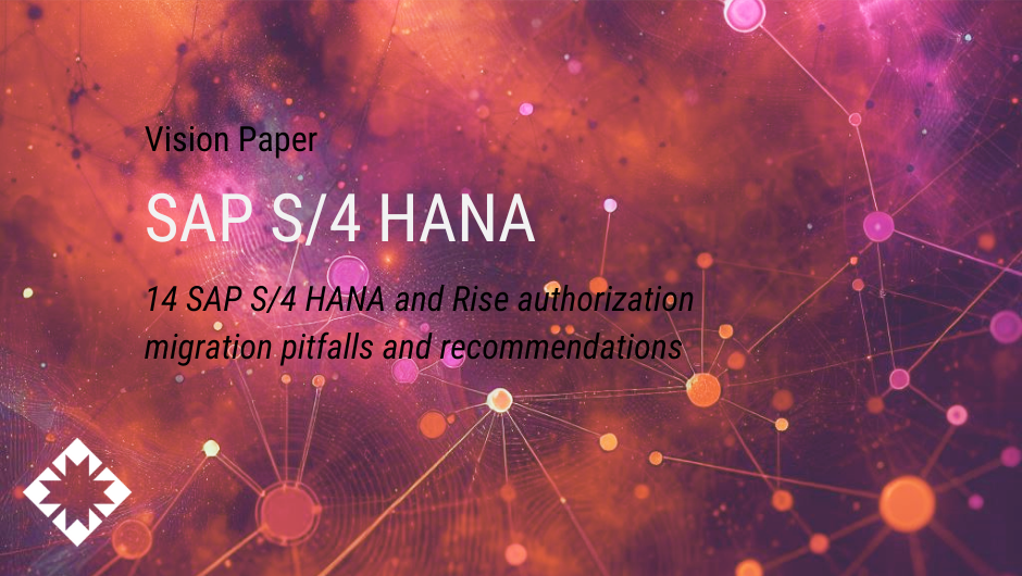 14 SAP S/4 HANA and Rise authorization migration pitfalls and recommendations