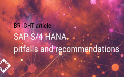 14 SAP S/4 HANA and rise authorization migration pitfalls and recommendations