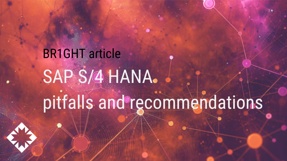 14 SAP S/4 HANA and rise authorization migration pitfalls and recommendations