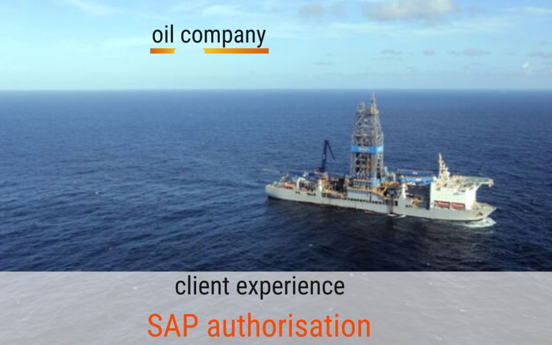 84 % SAP SOD Risk Reduction via authorisation redesign, technology implementation and managed services