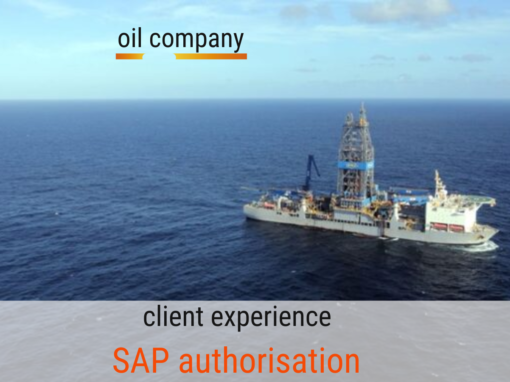 84 % SAP SOD Risk Reduction via authorisation redesign, technology implementation and managed services