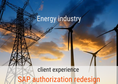 Over 80% risk reduction in SAP SoDs for a leading energy company